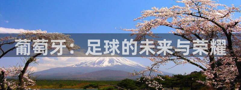 世界杯预选赛欧洲：葡萄牙：足球的未来与荣耀