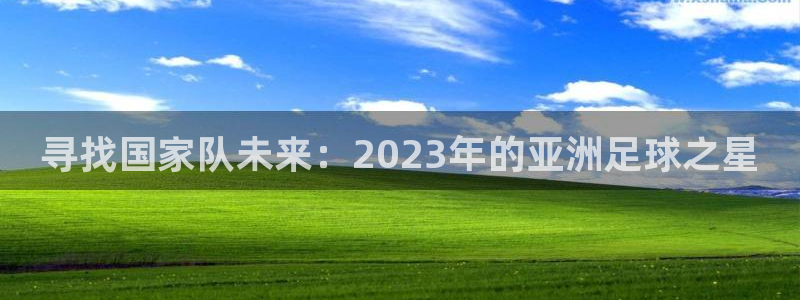 欧洲区世界杯预选赛：寻找国家队未来：2023年的亚洲足球之星