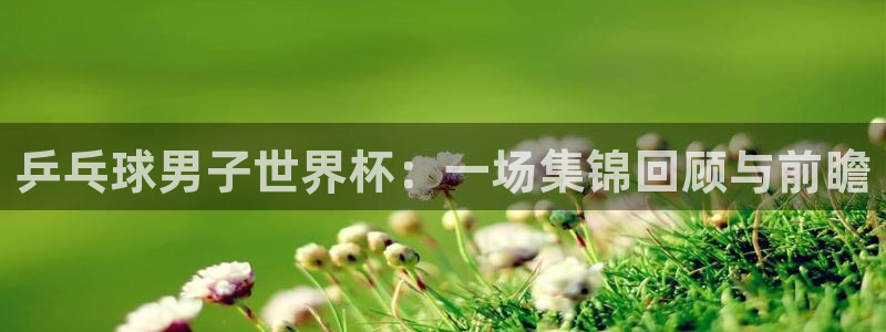 世界杯直播：乒乓球男子世界杯：一场集锦回顾与前瞻