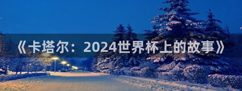 世界杯预选赛欧洲区赛程：《卡塔尔：2024世界杯上的故事》