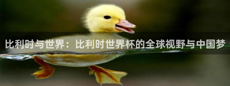 今年世界杯：比利时与世界：比利时世界杯的全球视野与中国梦