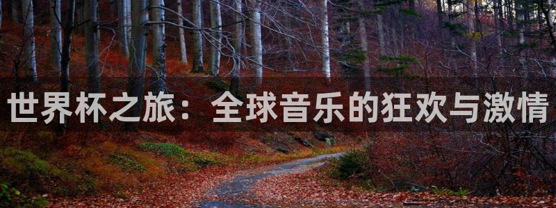 世界杯对阵表：世界杯之旅：全球音乐的狂欢与激情