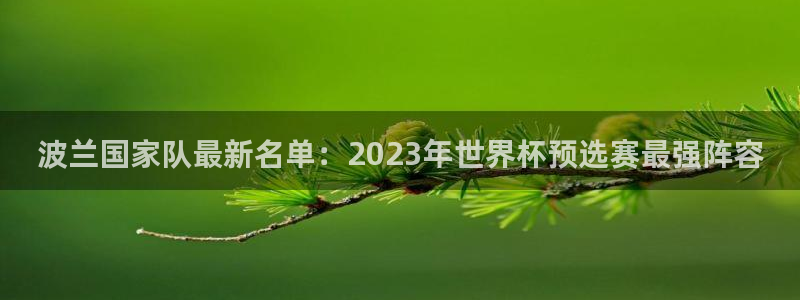 美洲杯直播：波兰国家队最新名单：2023年世界杯预选赛最强阵容