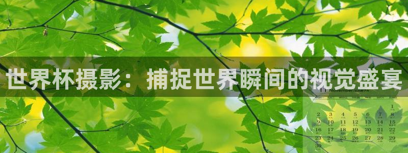 世界杯欧洲区世预赛赛程：世界杯摄影：捕捉世界瞬间的视觉盛宴