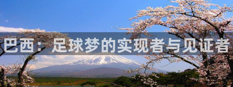 2026世界杯亚洲区预选赛：巴西：足球梦的实现者与见证者