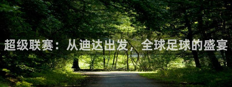 2026世界杯亚洲区预选赛：超级联赛：从迪达出发，全球足球的盛宴