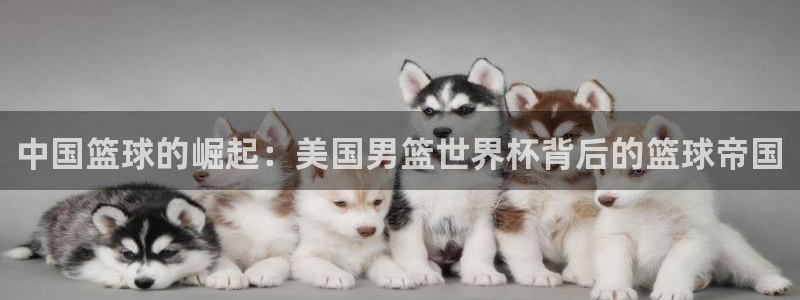 世界杯预赛赛程：中国篮球的崛起：美国男篮世界杯背后的篮球帝国