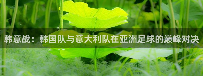 世界杯球队排名：韩意战：韩国队与意大利队在亚洲足球的巅峰对决