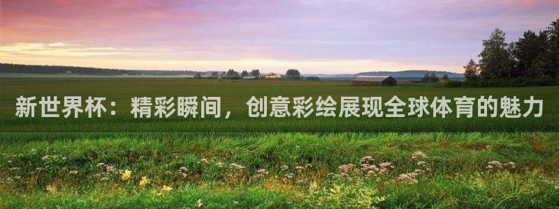 欧洲世界杯预选赛：新世界杯：精彩瞬间，创意彩绘展现全球体育的魅力