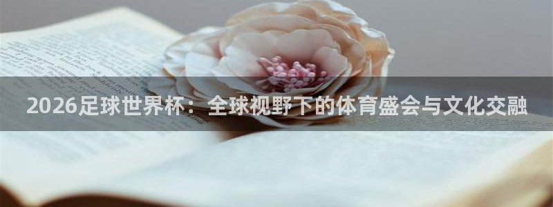 世界杯欧洲区预选赛赛程：2026足球世界杯：全球视野下的体育盛会与文化交融