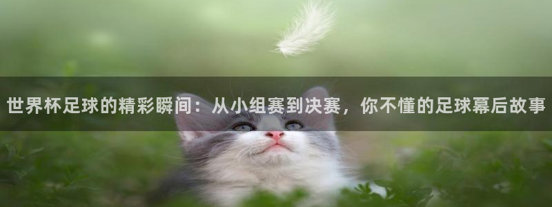 英格兰联赛杯直播：世界杯足球的精彩瞬间：从小组赛到决赛，你不懂的足球幕后故事