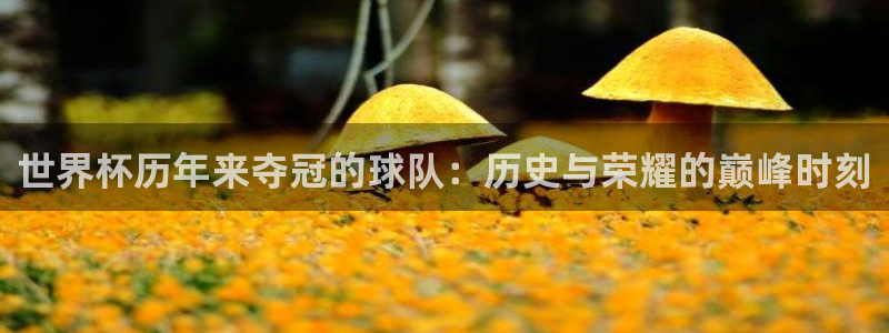 2026世界杯德国队阵容：世界杯历年来夺冠的球队：历史与荣耀的巅峰时刻