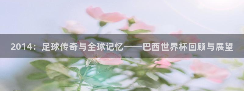 2026年世界杯：2014：足球传奇与全球记忆——巴西世界杯回顾与展望