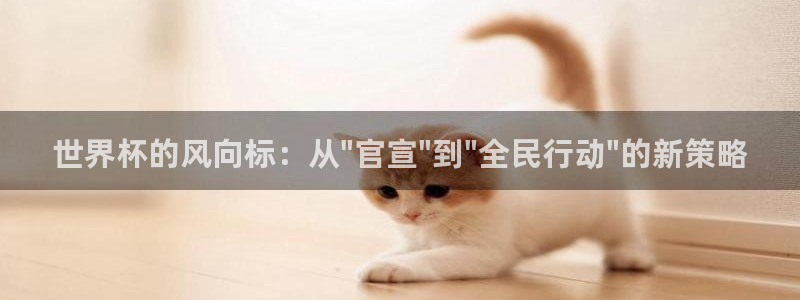 世界杯直播平台：世界杯的风向标：从\