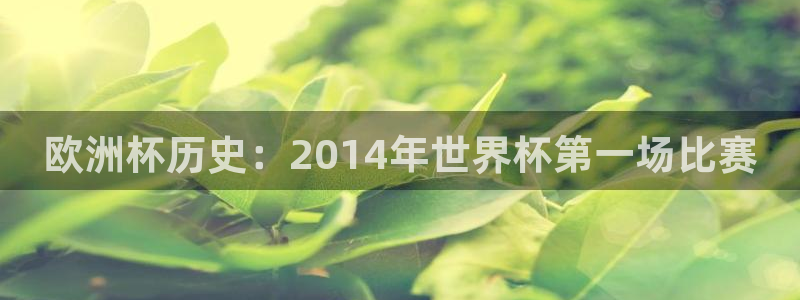 世界杯系列赛：欧洲杯历史：2014年世界杯第一场比赛