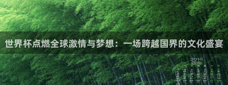 2026世界杯官网：世界杯点燃全球激情与梦想：一场跨越国界的文化盛宴