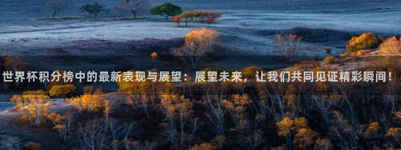 2026世界杯赛程：世界杯积分榜中的最新表现与展望：展望未来，让我们共同见证精彩瞬间！